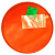 3071667667_rasshiritelnyj-bak-viessmann